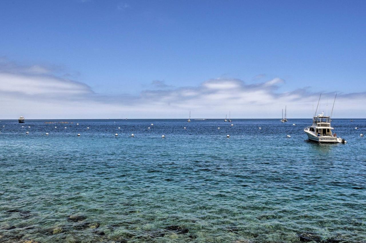 Catalina Island Cottage - Walk To Main St And Beach! Avalon Eksteriør billede